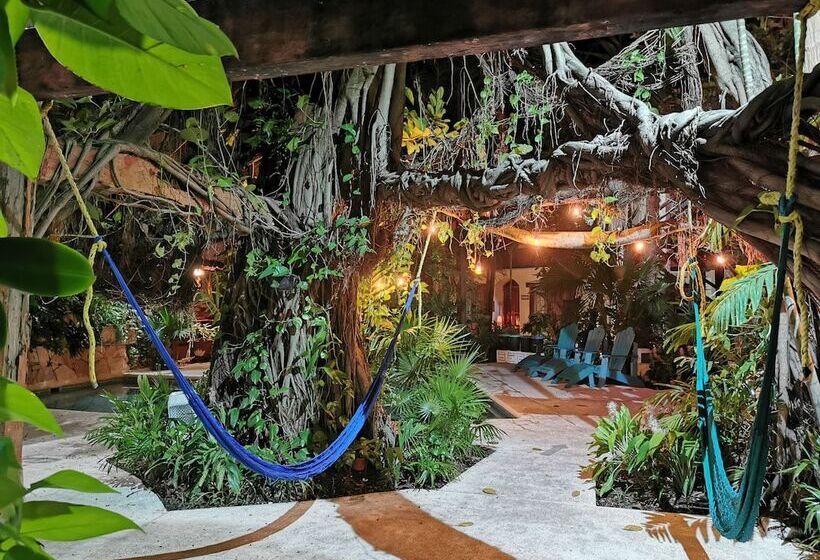 Eco El Rey Del Caribe