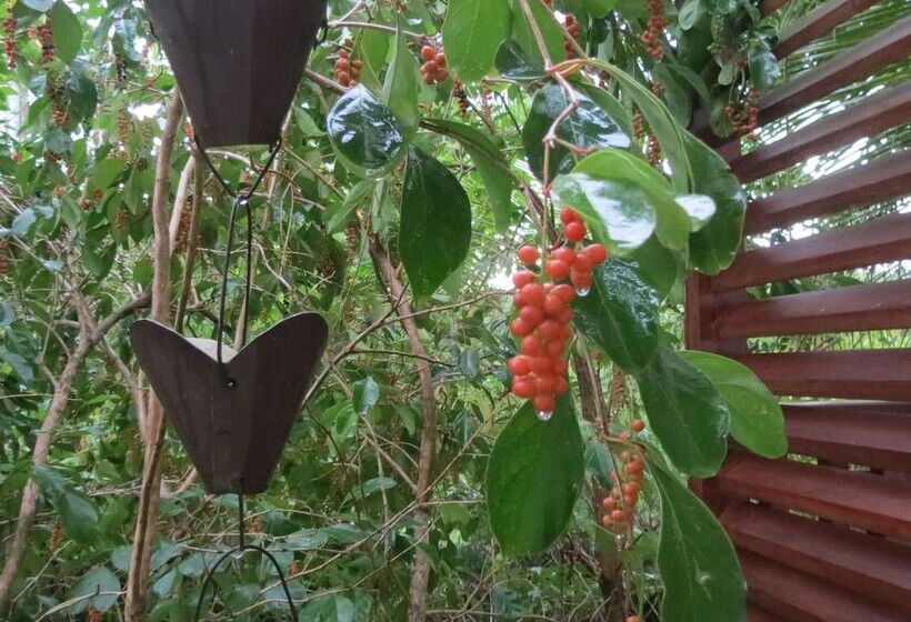 Fotos del hotel El Portillo Residences:  8