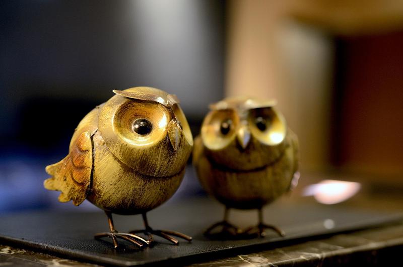 Fotos del hotel Via Hotel Taipei Station:  4