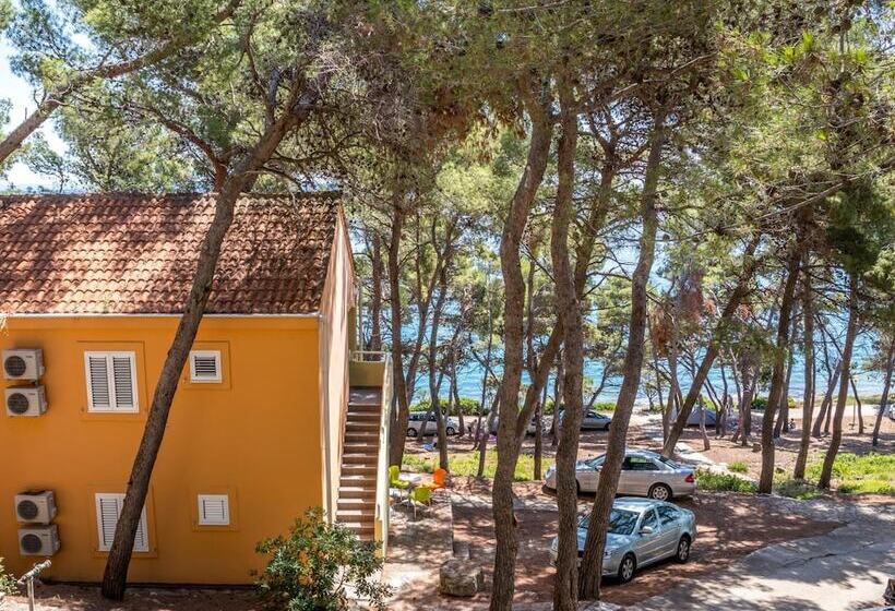 Fotos del hotel Zelena Punta:  8