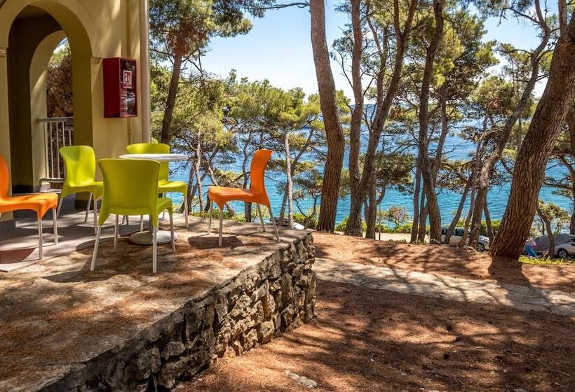 Fotos del hotel Zelena Punta:  3