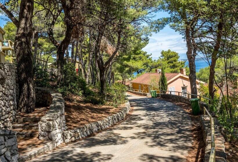 Fotos del hotel Zelena Punta:  11