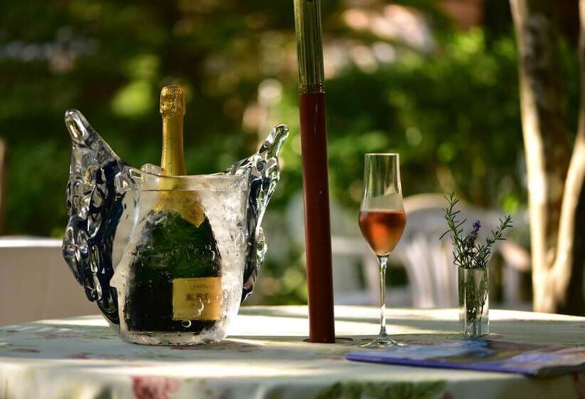 Fotos del hotel Auberge Au Mirador:  8