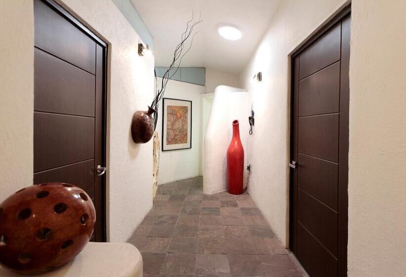 Fotos del hotel Aztic Hotel And Executive Suites:  11