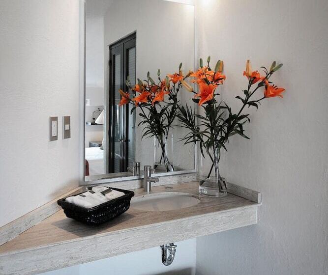 Fotos del hotel Aztic Hotel And Executive Suites:  9