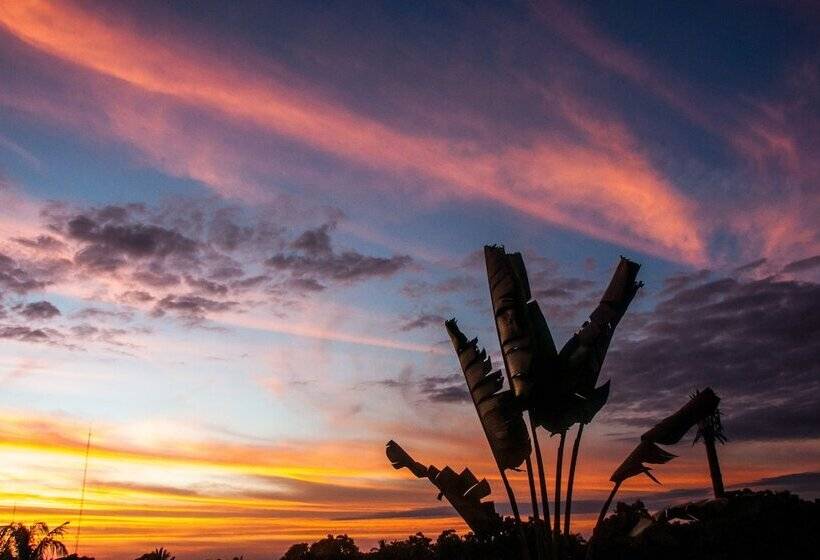 Fotos del hotel Shavanna Hotel Boutique:  5