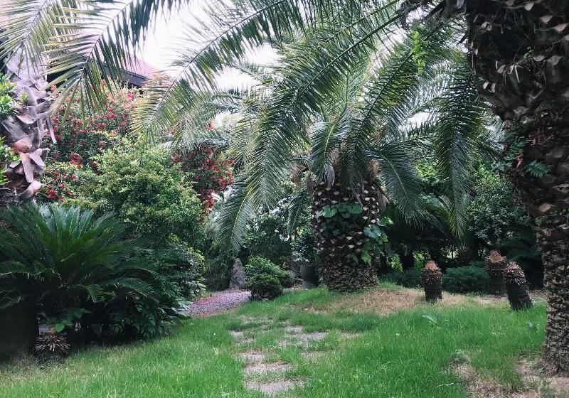 Fotos del hotel At Corner:  4