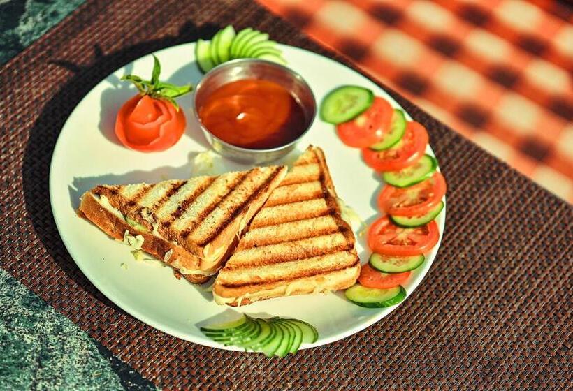 Fotos del hotel Devraj Niwas:  22