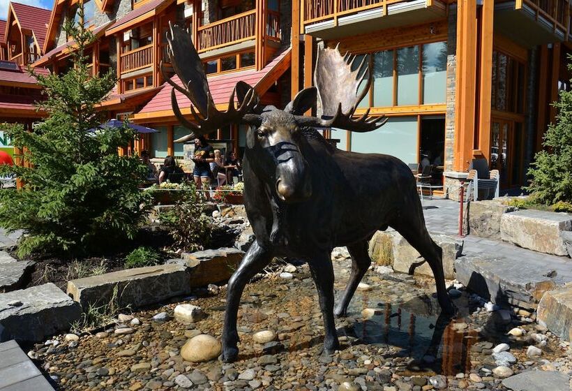 Fotos del hotel Moose Hotel And Suites:  7