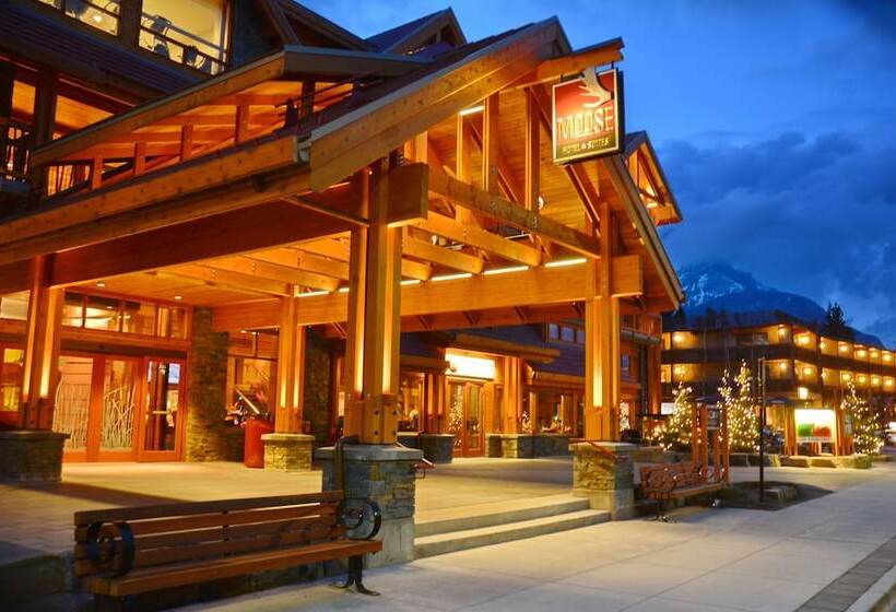 Fotos del hotel Moose Hotel And Suites:  17