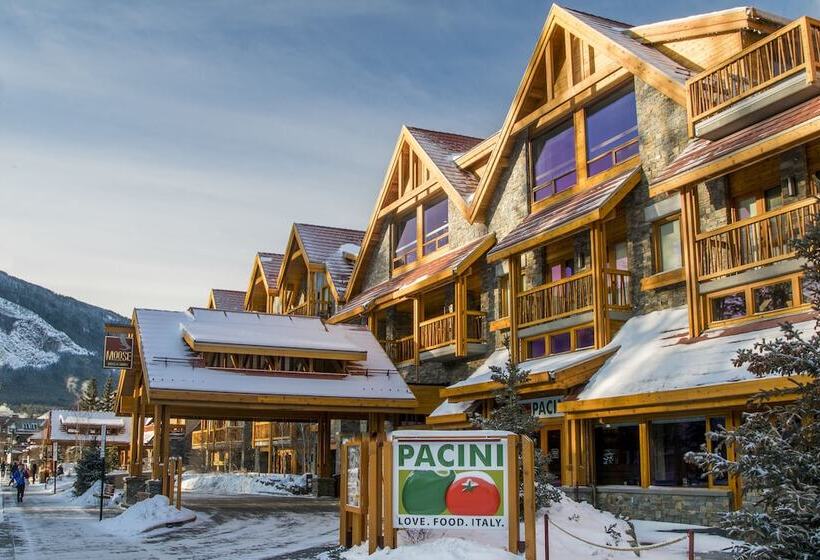 Fotos del hotel Moose Hotel And Suites:  21