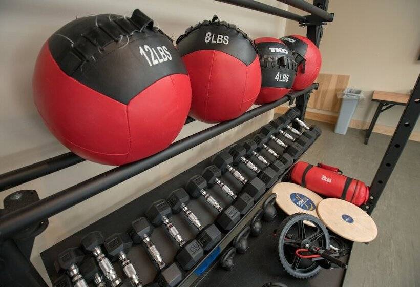 Fotos del hotel Moose Hotel And Suites:  14