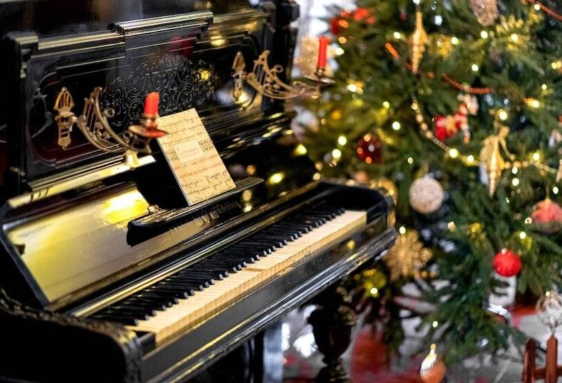 Fotos del hotel New:  6