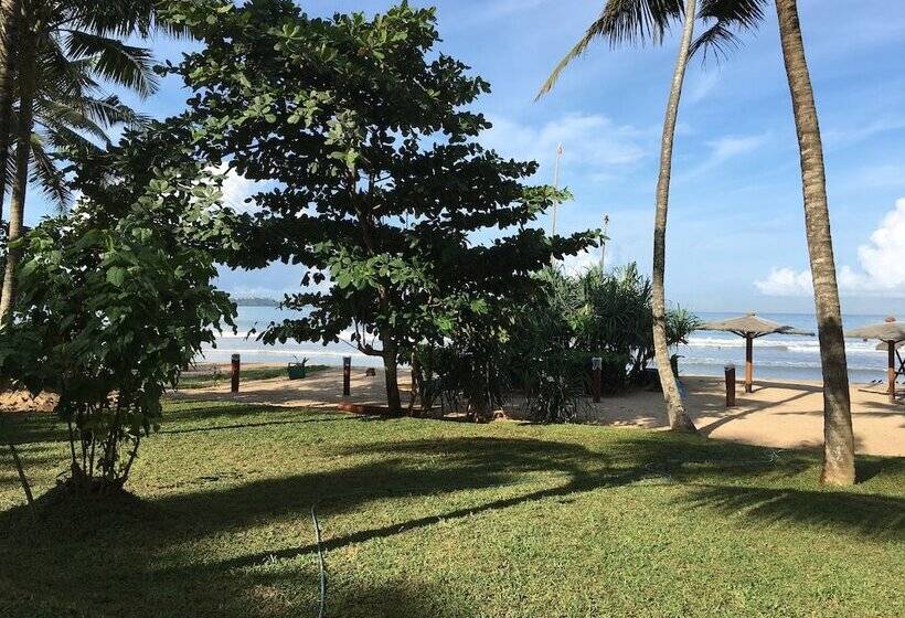 Fotos del hotel Aussie Swiss Beach Resort:  7