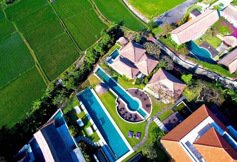 Fotos del hotel The Samata:  15