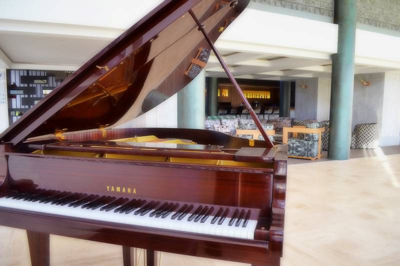 Fotos del hotel Wazo:  9