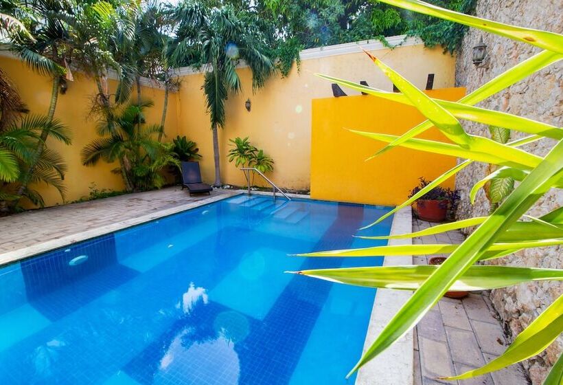 Fotos del hotel Montejo:  11