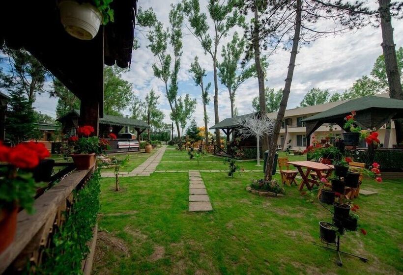 Fotos del hotel Voila Mamaia:  15