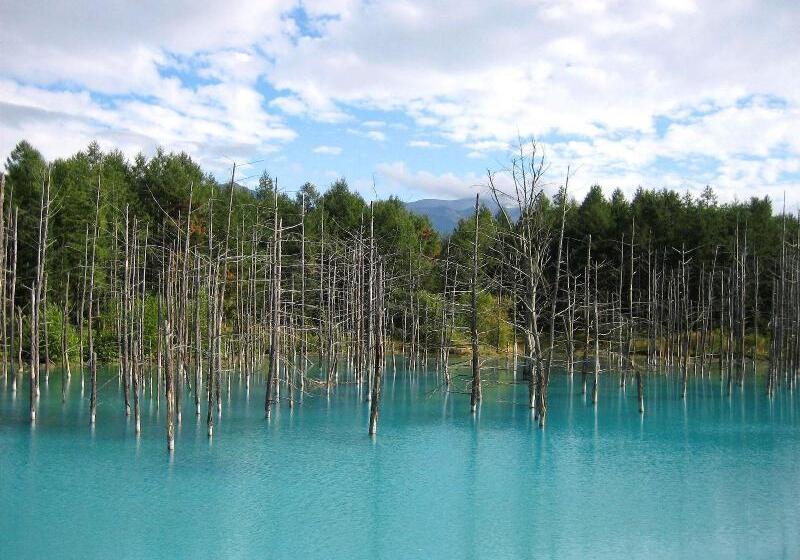 Fotos del hotel Hoshino Resorts Tomamu:  21