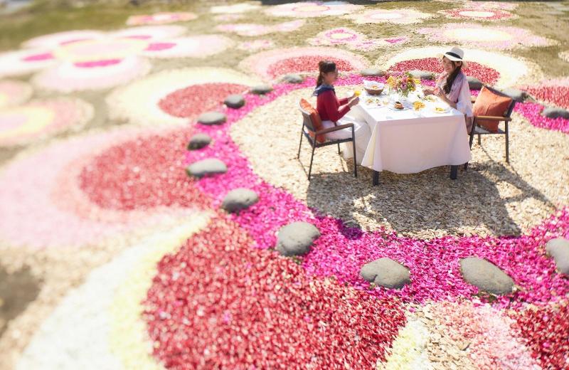 Fotos del hotel Hoshino Resorts Tomamu:  12