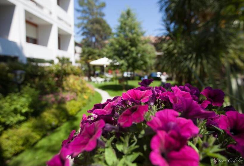 Fotos del hotel Mar Del Plata:  11