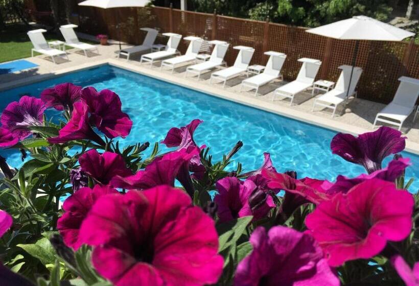 Fotos del hotel Mar Del Plata:  18