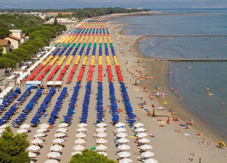 Fotos del hotel Mar Del Plata:  8