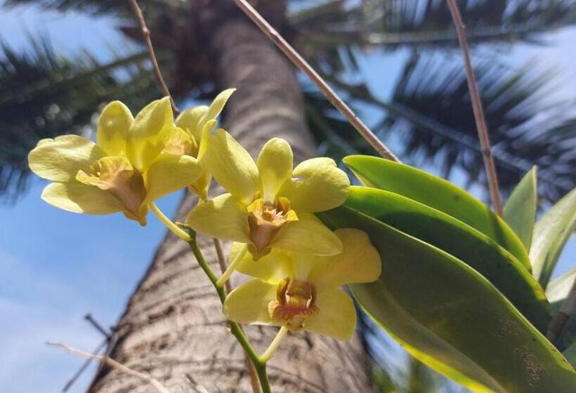 Fotos del hotel Serenity Resort Koh Chang:  7