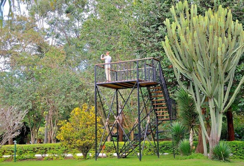 Fotos del hotel Arumeru River Lodge:  5