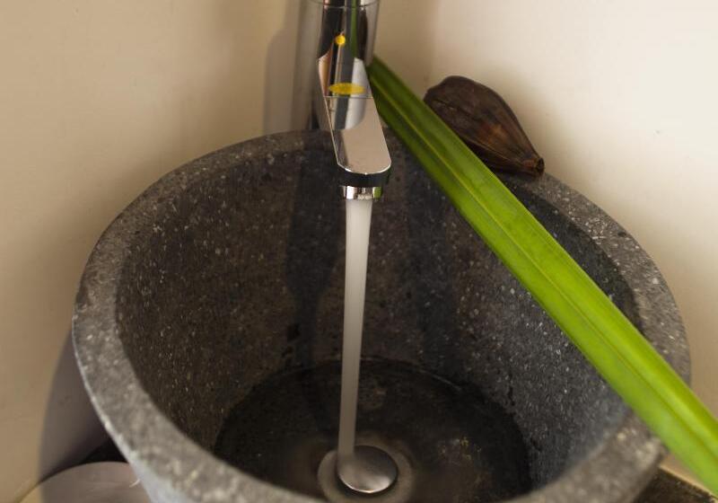 Fotos del hotel Palm View Villa:  4