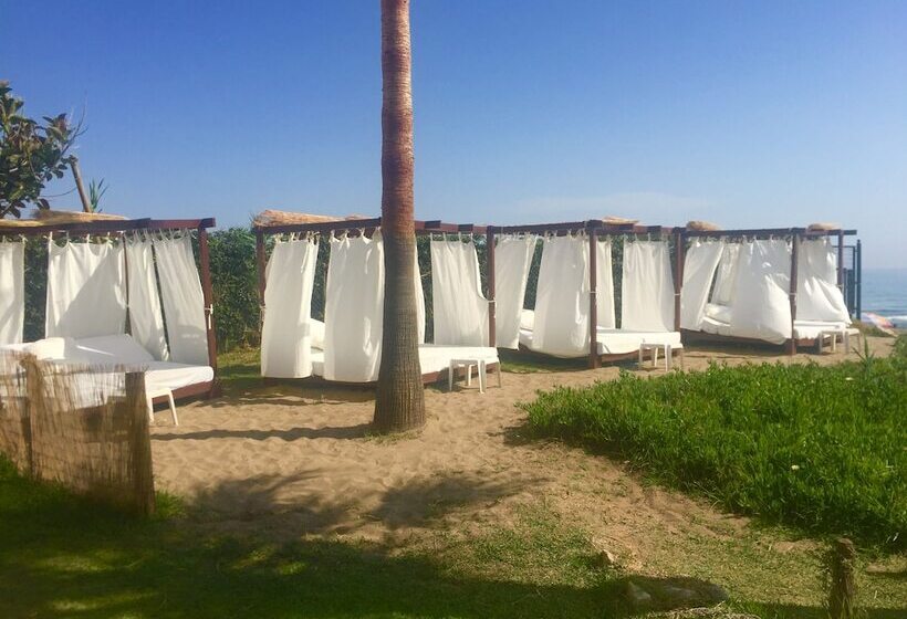 Fotos del hotel Playa Real:  15