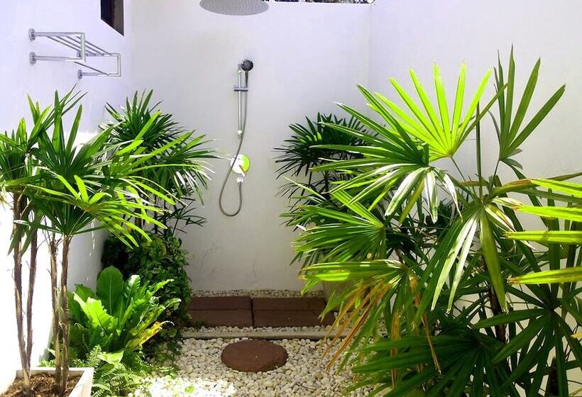 Fotos del hotel Sanae Beach Club:  12