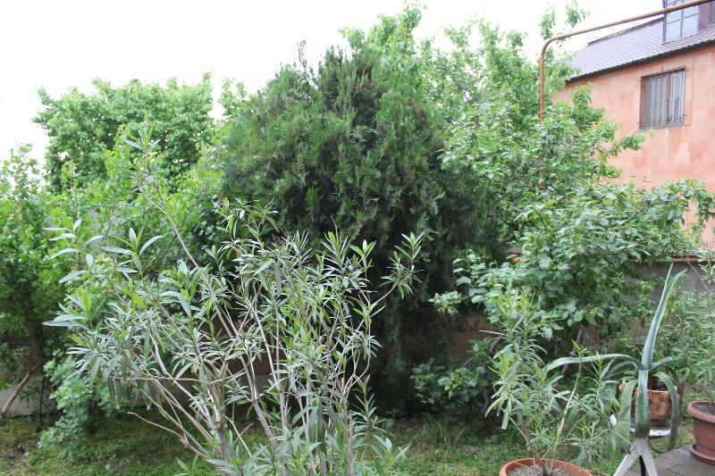 Fotos del hotel Best View Hotel:  8