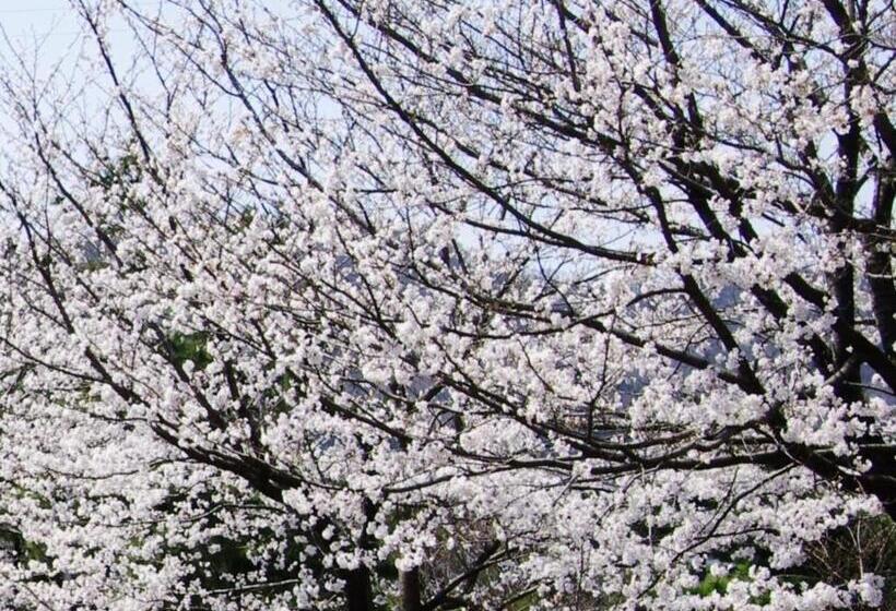 Fotos del hotel Kunitomi Annex:  6