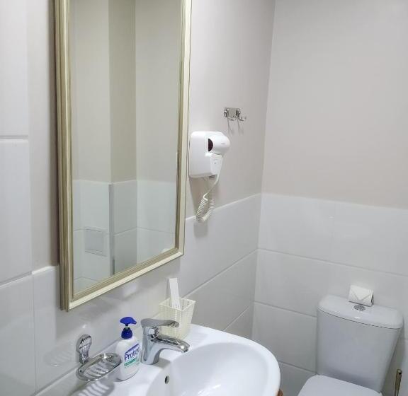 Fotos del hotel Sayyoh:  9