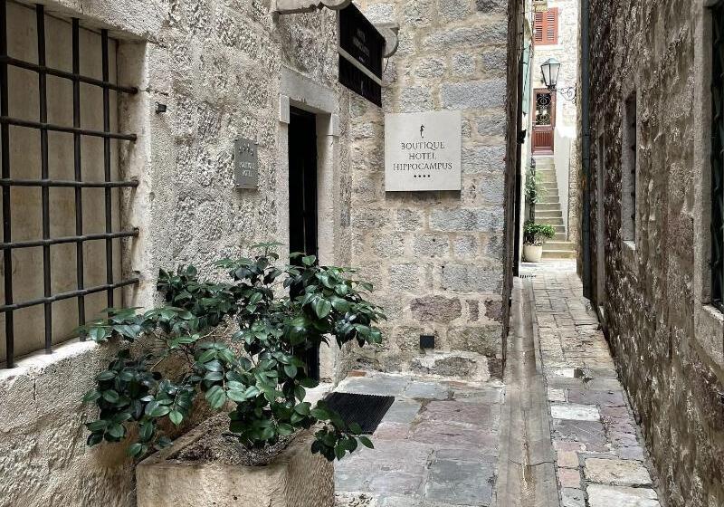 Fotos del hotel Boutique Hotel Hippocampus:  16