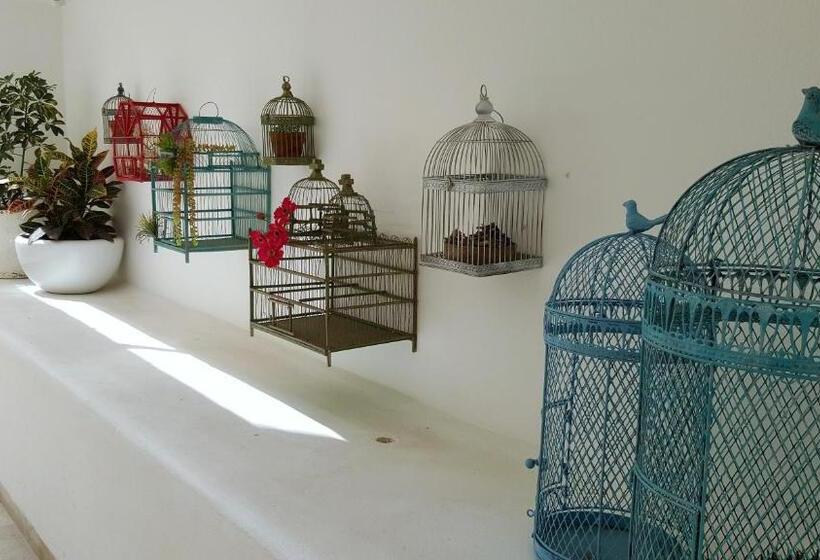 Fotos del hotel Catedral:  8