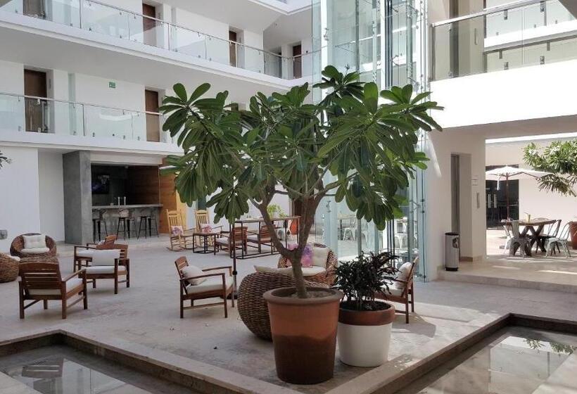 Fotos del hotel Catedral:  3