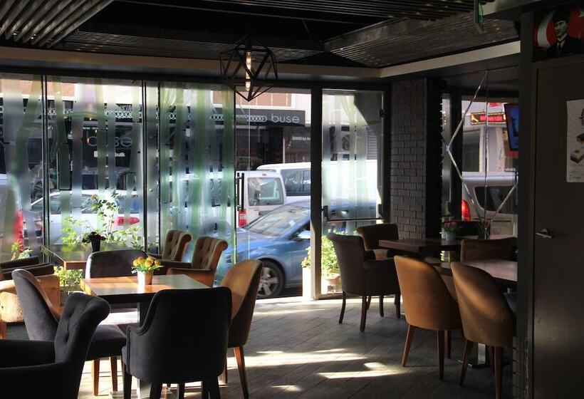 Fotos del hotel Turkeli:  14