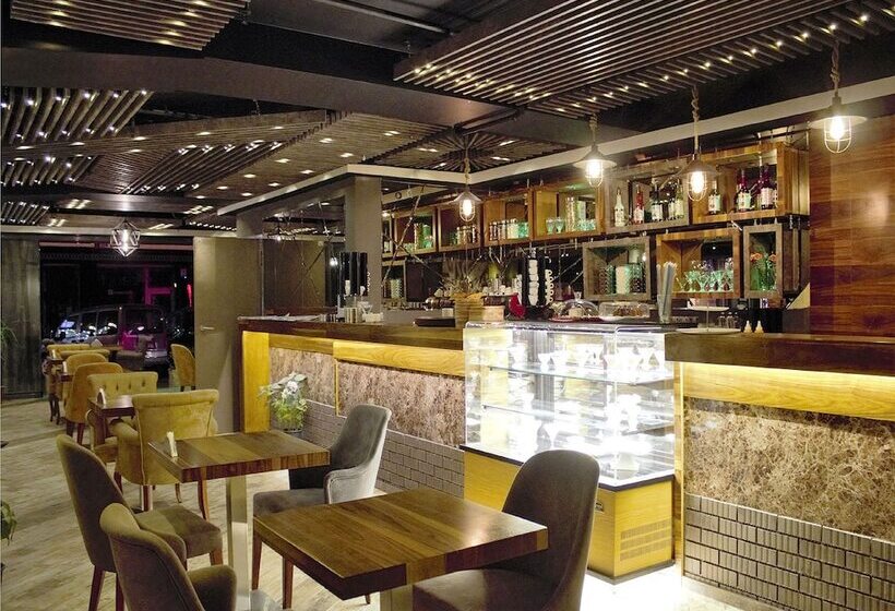 Fotos del hotel Turkeli:  4