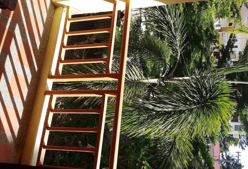 Fotos del hotel Paddy S Palms Resort:  8