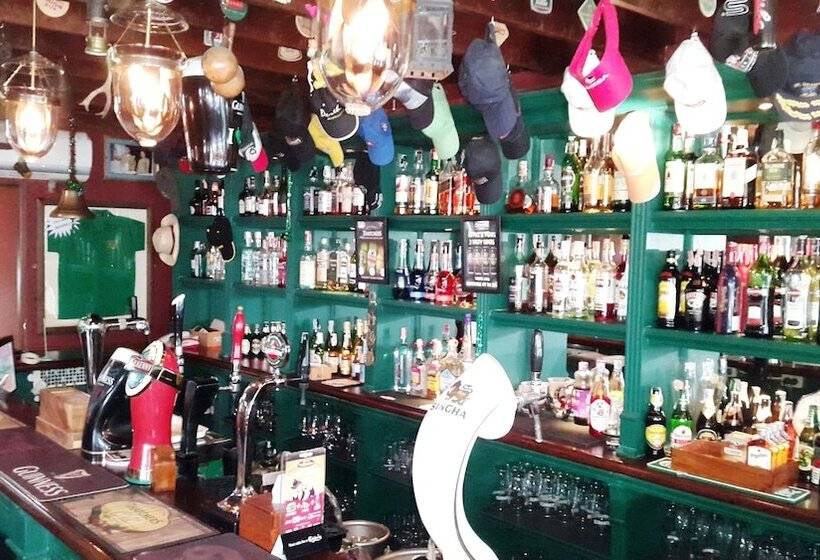 Fotos del hotel Paddy S Palms Resort:  4