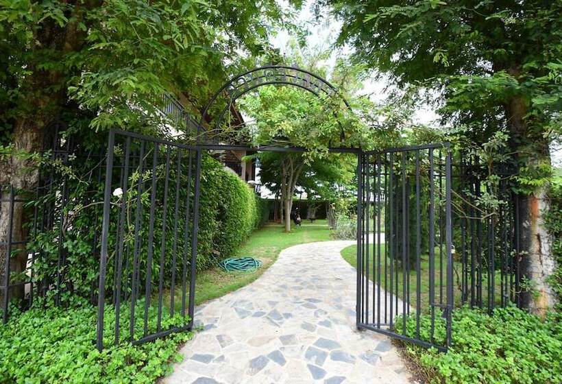 Fotos del hotel Rose Villa Resort:  6