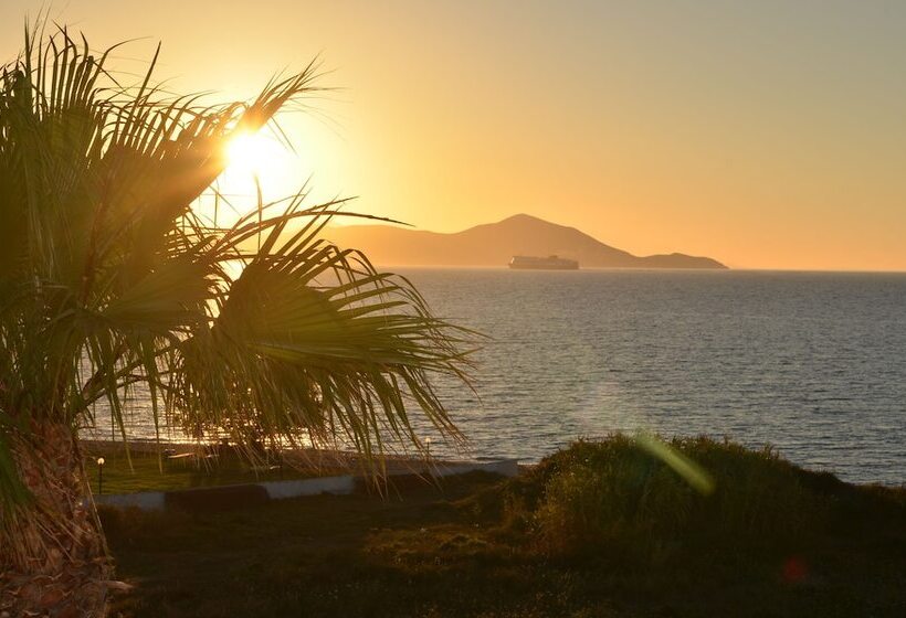 Fotos del hotel Costa Angela:  7