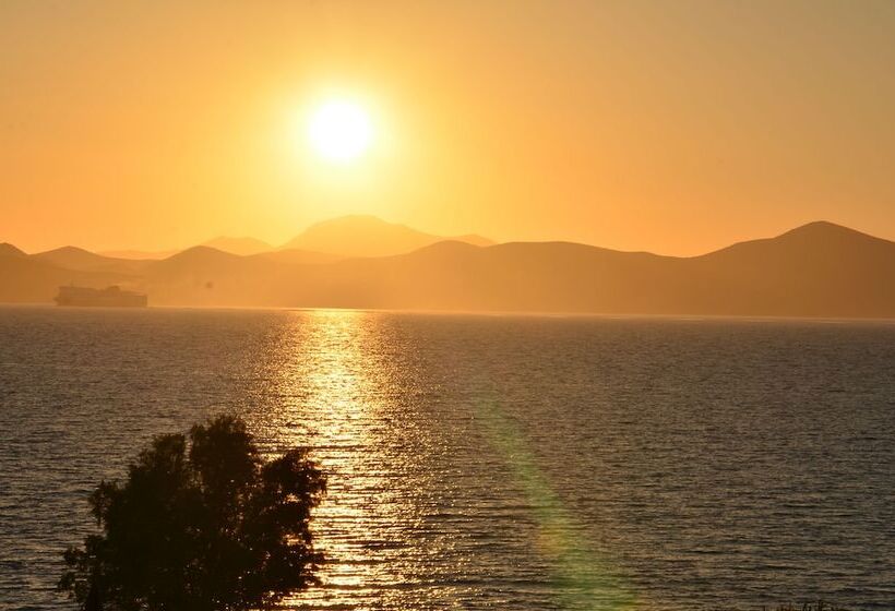 Fotos del hotel Costa Angela:  9