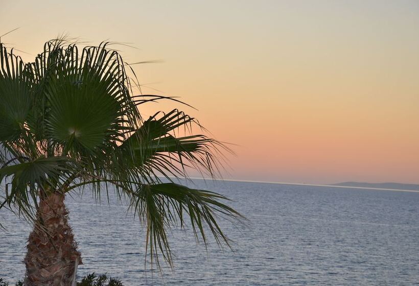 Fotos del hotel Costa Angela:  17