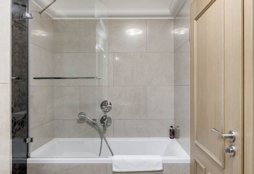 Fotos del hotel Louren Apartments Charles Bridge:  7