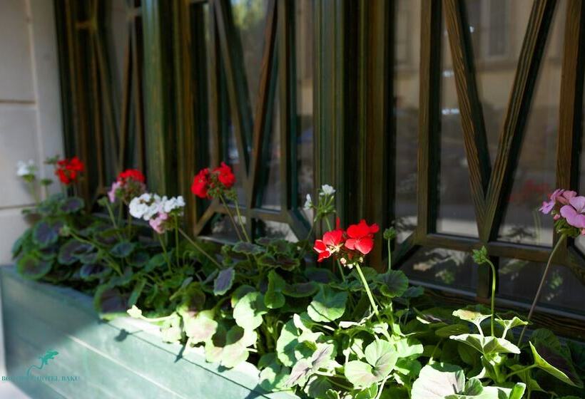 Fotos del hotel Boutique Hotel Baku:  21