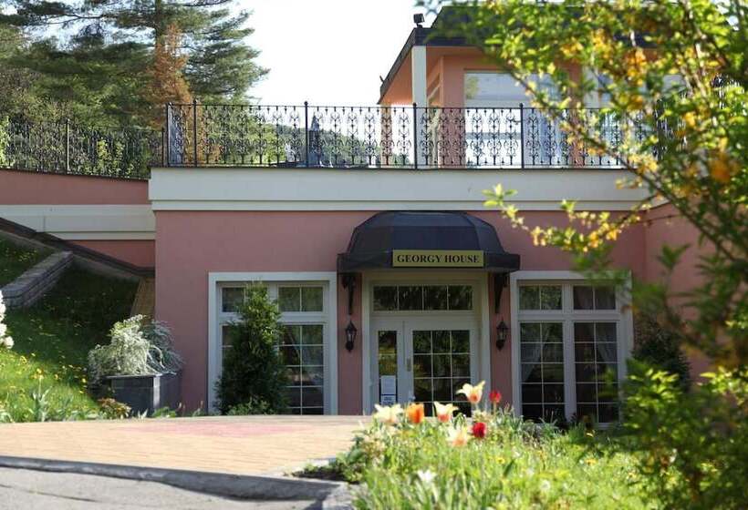 Fotos del hotel Bristol Georgy House:  6