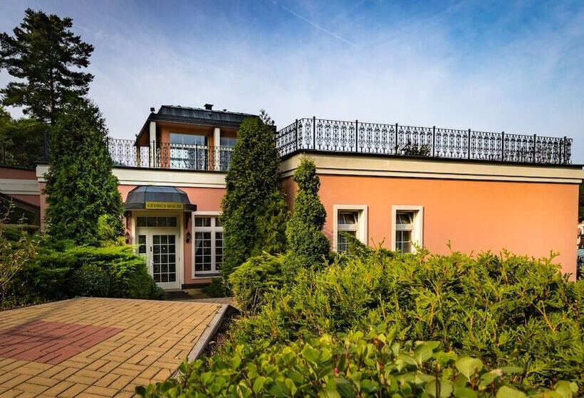 Fotos del hotel Bristol Georgy House:  19